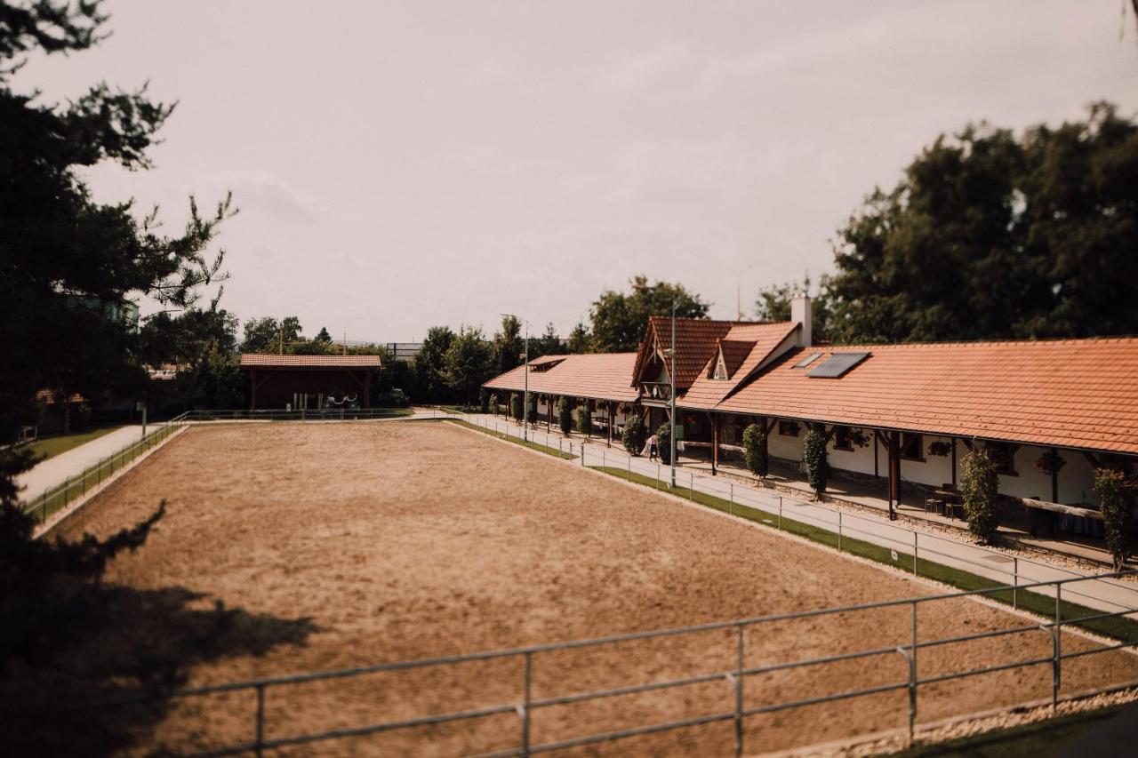 Pension Zwicker Prešov Extérieur photo